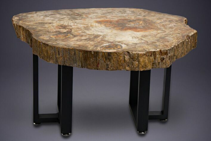 Polished Triassic Petrified Wood Table - Madagascar #352269